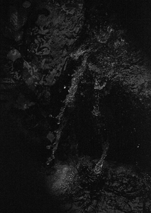 Современная фотография: визуальные практики и авторский стиль Современная фотография: визуальные практики и авторский стиль