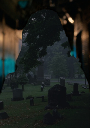 Тень скитальцев