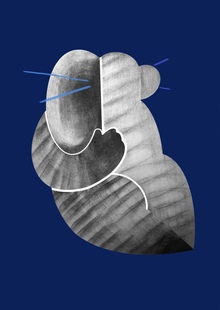 Горизонты понимания