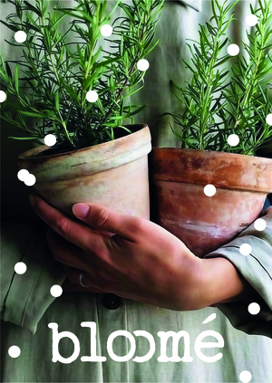 bloomé 