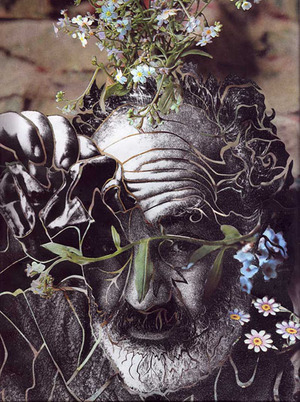 Paper cut collages