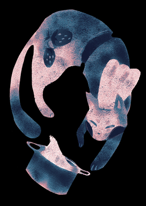 Кошки-Матрёшки