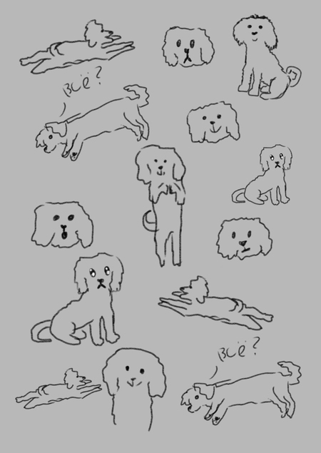 Собачья жизнь