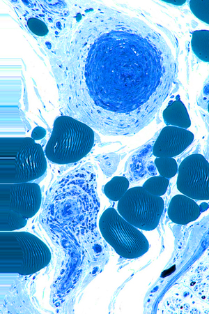 micr0w0rld soundpack