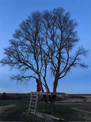 Мхом посох порос