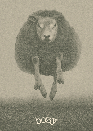 BOZY