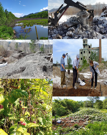 Природоподобные технологии переработки лигнинсодержащих осадков ЦБП