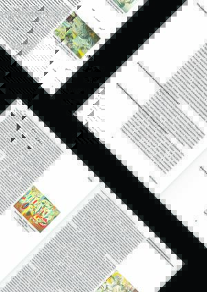 Основы типографики