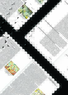 Основы типографики