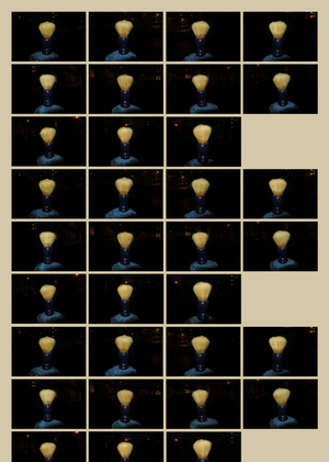 Эффект дословности. Дескриптор