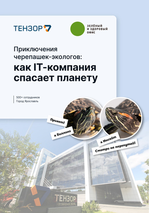 Зелёный и здоровый офис