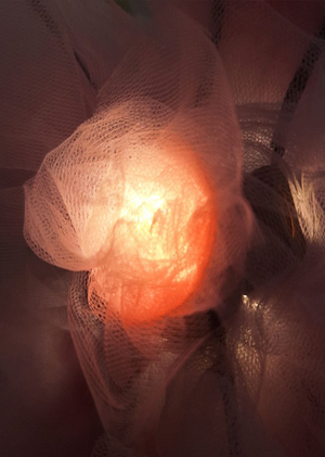 Свет Ланвен