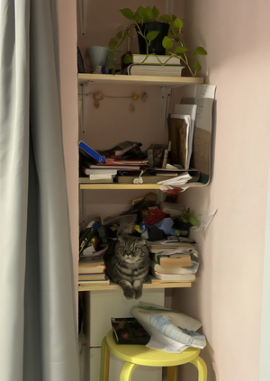 Безупречно неисправно