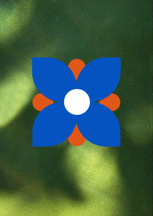 Бренд турецкого чая FULLA