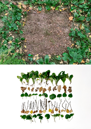 Уничтожение - систематизация