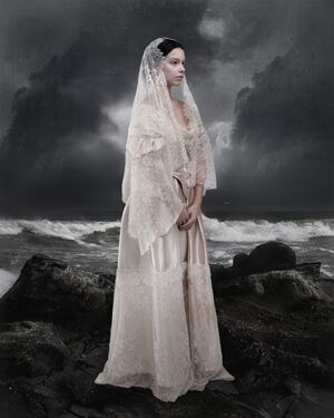 Queen Victoria's funeral and wedding