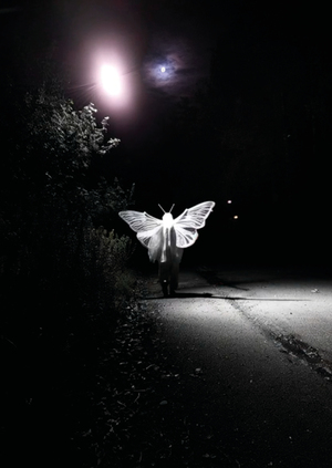 Человек-мотылек