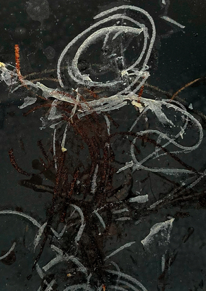 Пасторальный символ, пастозный знак