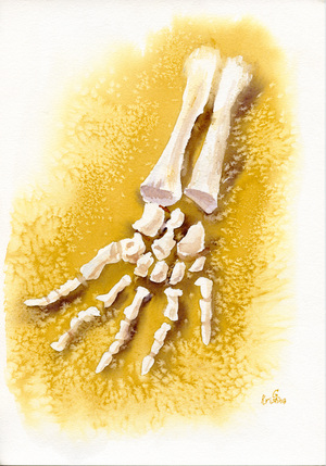 Пески времени