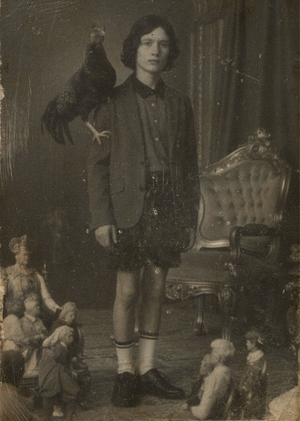 The Little Nerual Book