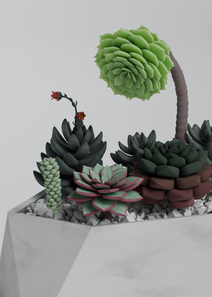 Модульные наборы суккулентов Grow&Build