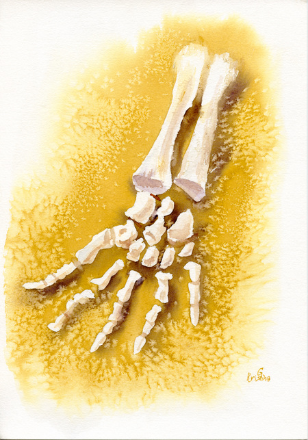 Пески времени