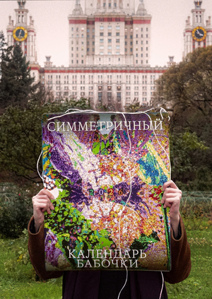 СИММЕТРИЧНЫЙ КАЛЕНДАРЬ БАБОЧКИ 2026