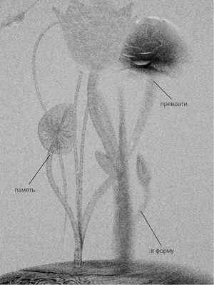 Стеклянный сад
