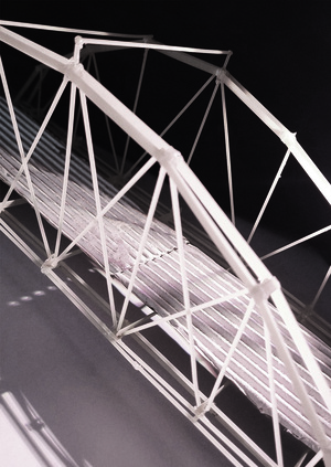 Ферменные конструкции. Мост Normans kill Bridge