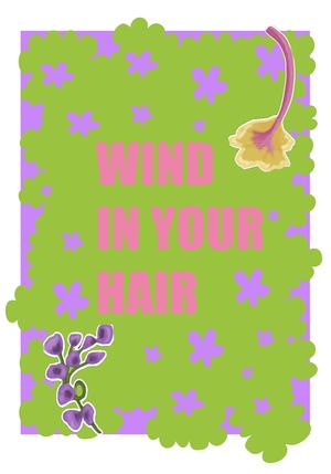 Wind in your hair 