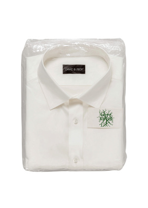 Биом камбия. Офис в лесу