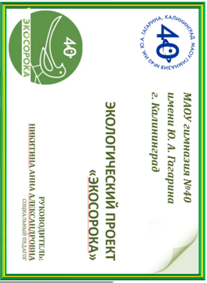 Экологический проект "Экосорока"