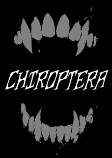 Chiroptera