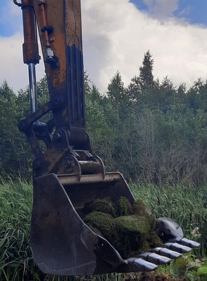 Технология переработки отработанных водорослей