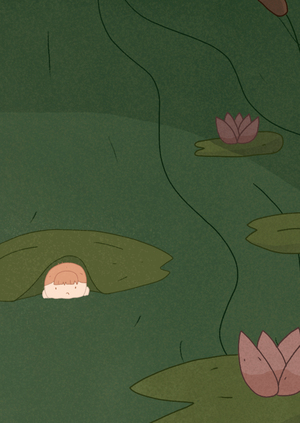 Путь женщин