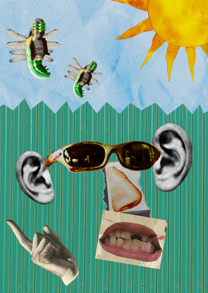 5 дачных чувств