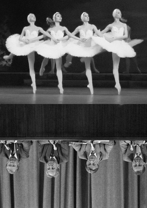 Antonym calendar-specimen