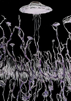 Обучение генеративной нейросети Stable Diffusion
