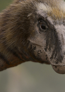 Заключение