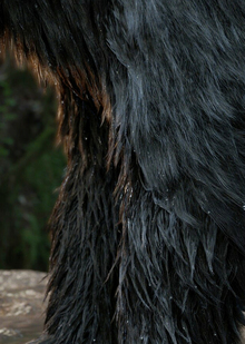 Голоссарий