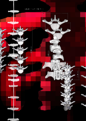 Орестея. Моделирование сценографии анатомического театра