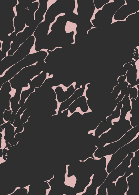 Спа-салон для минипигов