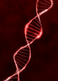 DNA | Houdini Particle Simulation