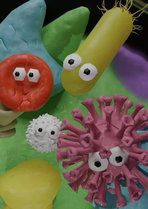 Чашка петри