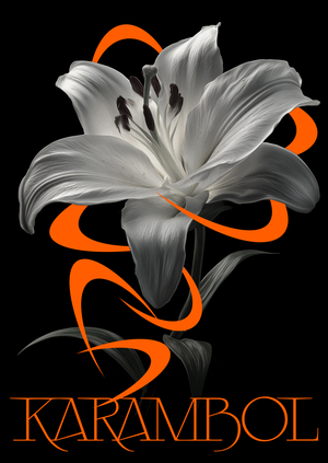 KARAMBOL