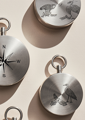 Редизайн турагентства для орнитологов southpath