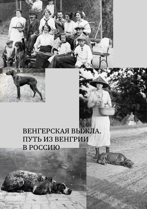 Венгерская выжла | появление породы