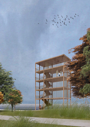 Благоустройство косы Канонерского острова