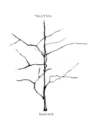 чистые линии