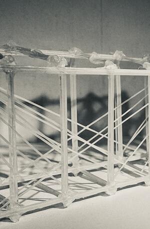 Съедобная Инженерия